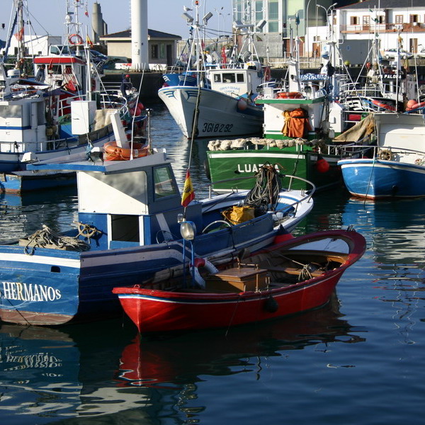 Boats Luarca stage Boats Luarca