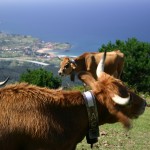 Mirador del Fito, Asturias