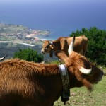 Mirador del Fito, Asturias