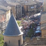 Olite Castle