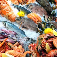 Seafood Seafood