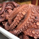 Pulpo