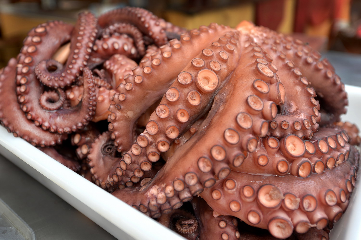 Pulpo