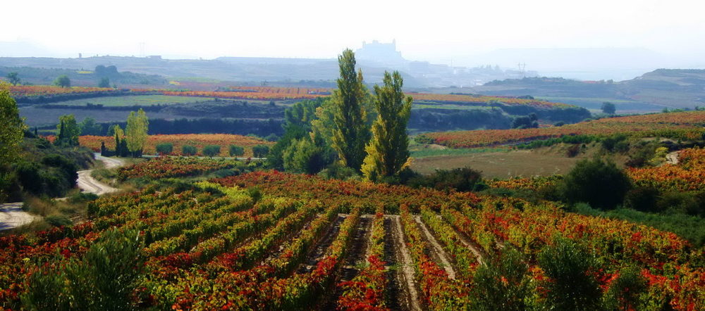 rioja alavesa