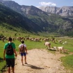 Photo of the Spanish Pyrenees