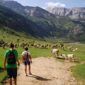 Spanish Pyrenees Touring Photo of the Spanish Pyrenees
