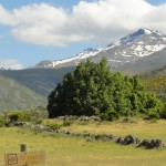 Sierra de Gredos