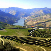 douro-stage douro-stage