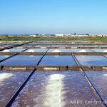 Photo of salt pans in the Aveiro estuary