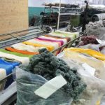 Photo of Burel Wool factory - Manteigas