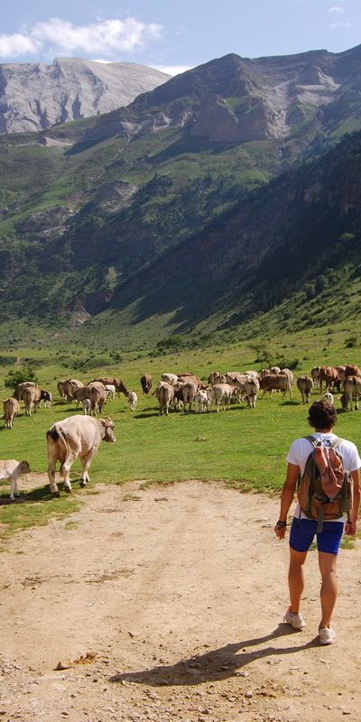 Photo of Spanish Pyrenees