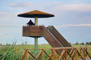 Photo of birdwatching in the Delta de Ebro