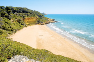 Photo of Cala Fonda