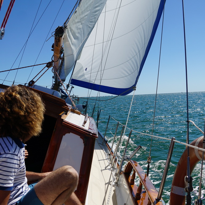 Photo of sailing on the Ebro Delta